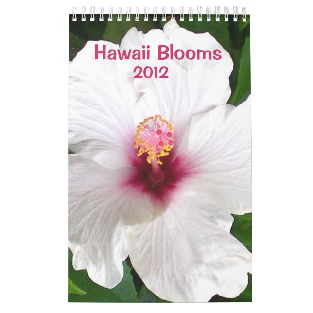 Hawaii-Blüten Kalender (Titelbild)