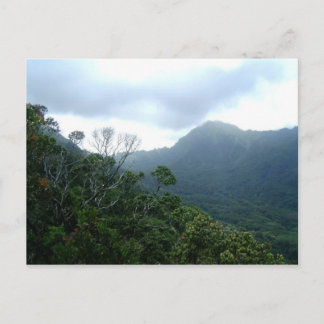 Hawaii Carte Postale Scène1