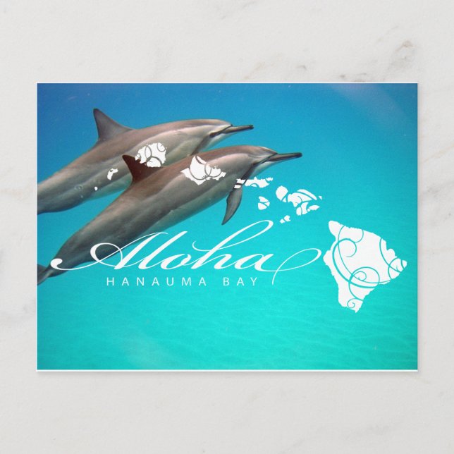 Hawaii-Delphine und Hawaii-Inseln Postkarte (Vorderseite)