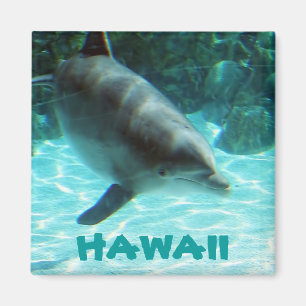 Hawaii Dolphin Magnet