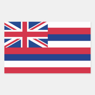 Hawaii-Flagge Rechteckiger Aufkleber