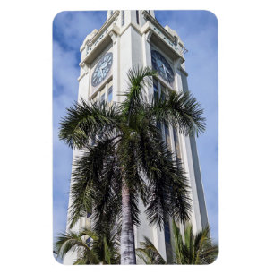Hawaii Foto Magnet