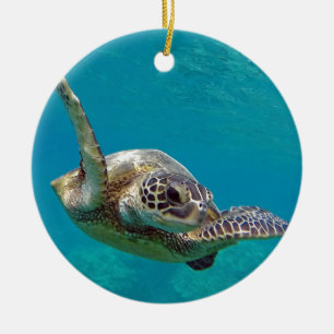 Hawaii Green Sea Turtle - Honu Keramik Ornament