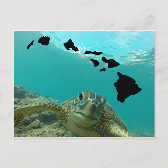 Hawaii Green Sea Turtle Postkarte (Vorderseite)