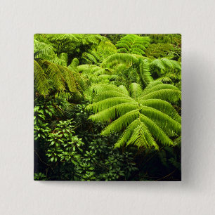Hawaii, Große Insel, üppige tropische Vegetation Button