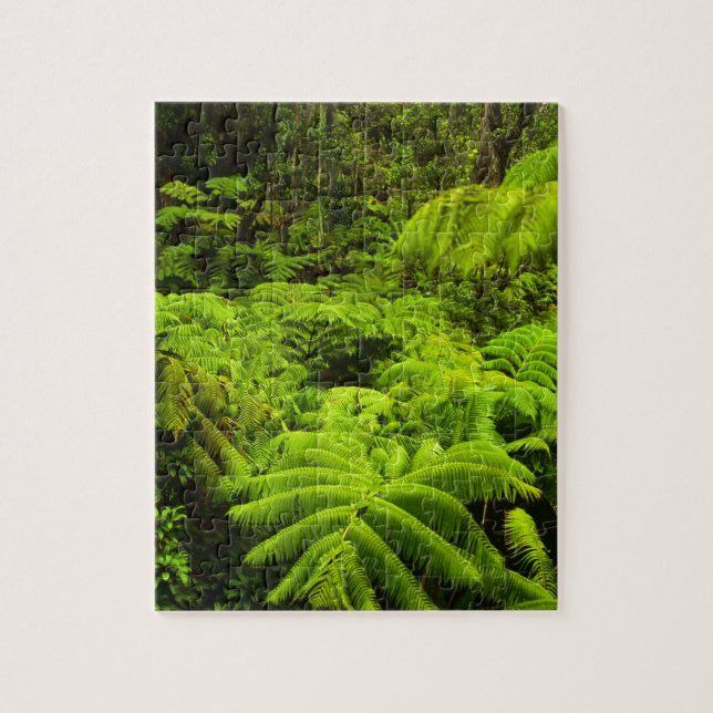 Hawaii, Große Insel, üppige tropische Vegetation i (Vertikal)