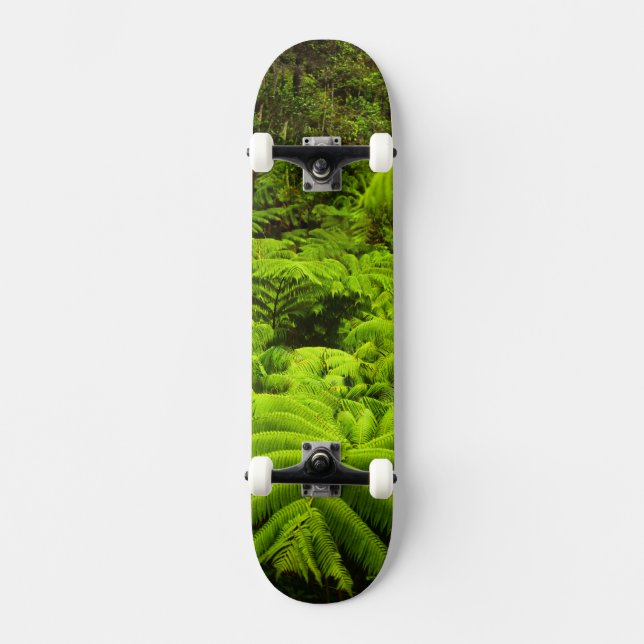 Hawaii, Große Insel, üppige tropische Vegetation i Skateboard (Vorderseite)