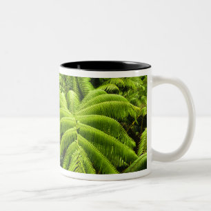 Hawaii, Große Insel, üppige tropische Vegetation Zweifarbige Tasse