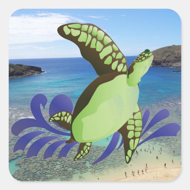 Hawaii Hanauma Bay Oahu Turtle Quadratischer Aufkleber (Vorderseite)
