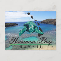 Hawaii Hanauma Bay Turtle - Honu