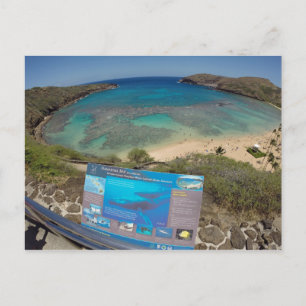 Hawaii Hanauma Bay Vulkan Postkarte