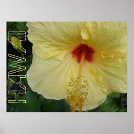 Hawaii-Hibiskus-Poster Poster