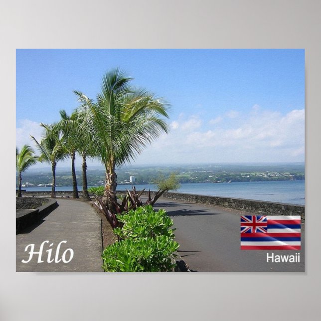 Hawaii - Hilo - Poster (Vorne)