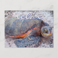 Hawaii Honu Meeresschildkröte nah-up Foto Relax Zi
