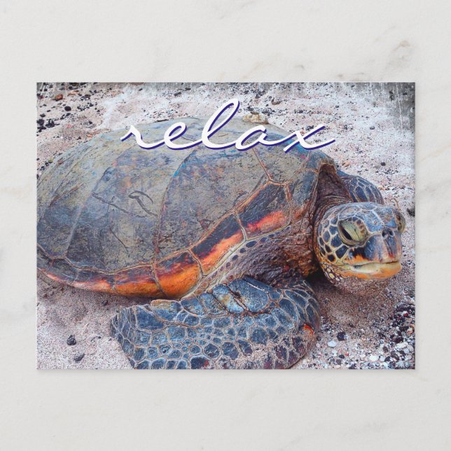 Hawaii Honu Meeresschildkröte nah-up Foto Relax Zi Postkarte (Vorderseite)