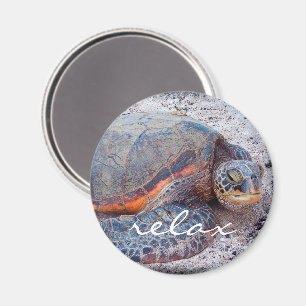 Hawaii honu tropische Meeresschildkröte Foto Relax Magnet