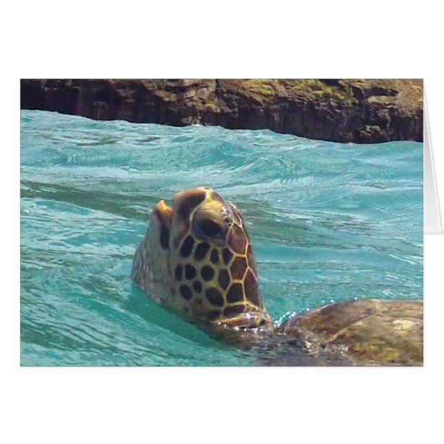 Hawaii Honu Turtle (Vorderseite (Horizontal))