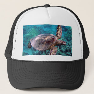 Hawaii Honu Turtle Casquette