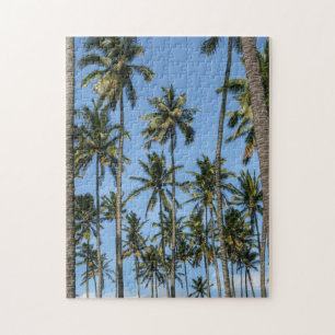 Hawaii Island Travel Exotic Beach Palm Trees