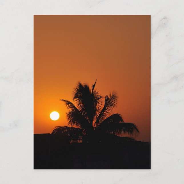 Hawaii Island Travel Tour Beach Sunset Palm Tree Postkarte (Vorderseite)