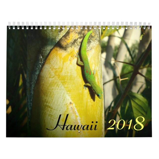 Hawaii-Kalender 2018 landschaftliche Zielorte Kalender (Titelbild)
