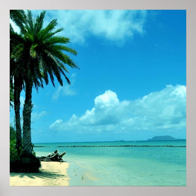 Hawaii Landschaftlich Tropical Beach Poster (Vorne)