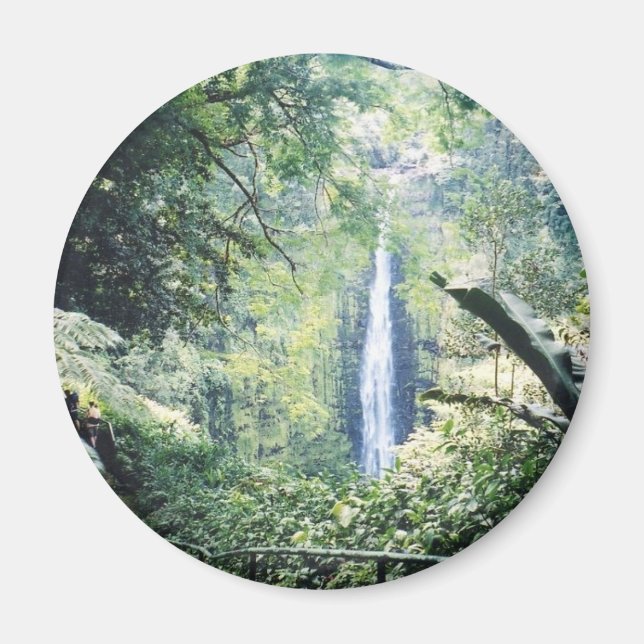 Hawaii-Magnet Magnet (Vorne)