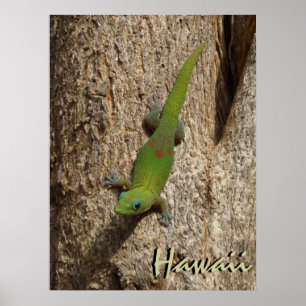 Hawaii mignon gecko extérieur affiche tropicale