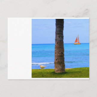 Hawaii Nature Postkarte