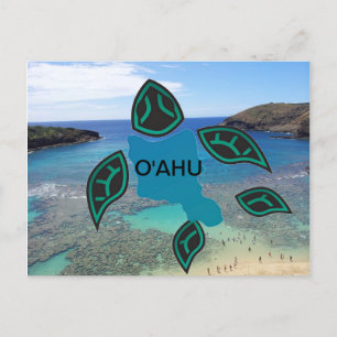 Hawaii Oahu Island Turtle Postkarte