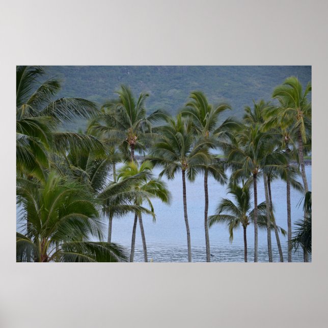 Hawaii Palm Trees Poster (Vorne)