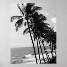 Hawaii Palm Trees Poster