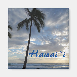 Hawaii-Palme durch Ozean Magnet