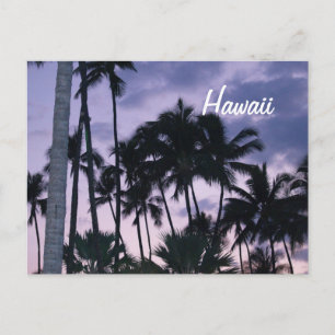 Hawaii Palmen bei Sonnenuntergang Postkarte
