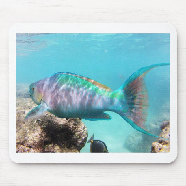 Hawaii Parrot Fish Mousepad (Vorne)