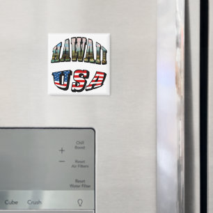 Hawaii Picture and USA Magnet