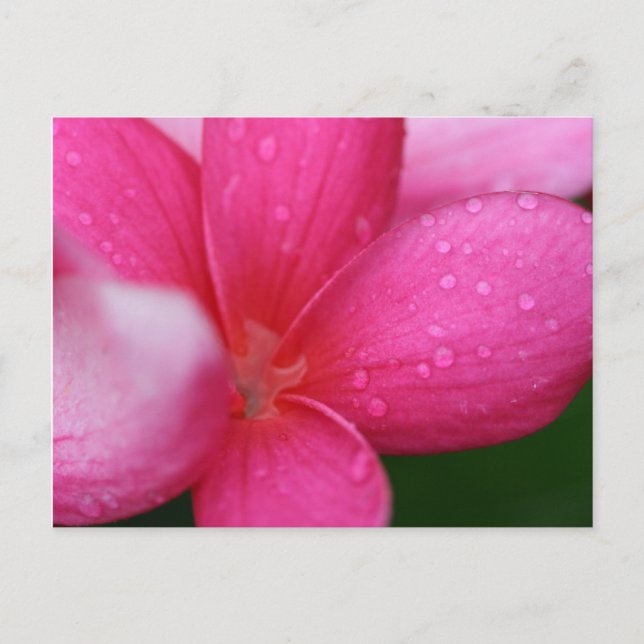 Hawaii Postkarte (Vorderseite)