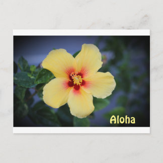 hawaii Postkarte mit der hawaii Staat Blume.