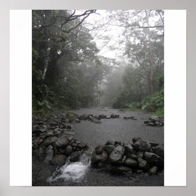 Hawaii Rain Poster (Vorne)