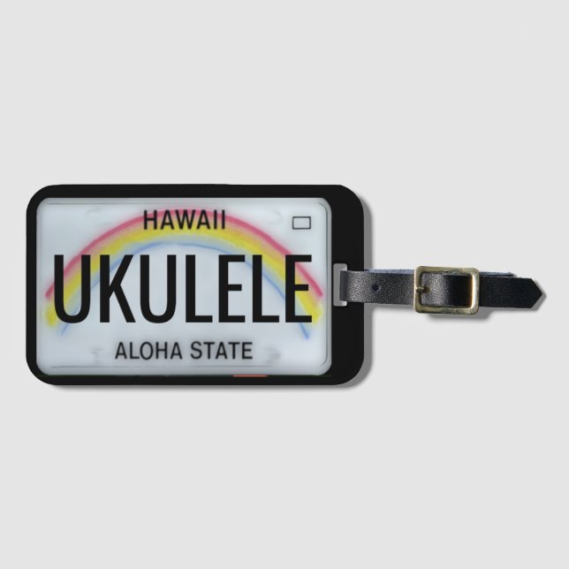 Hawaii-Regenbogen-Kfz-Kennzeichen-kundengerechtes Gepäckanhänger (Vorderseite (Horizontal))