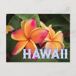 Hawaii-Reisepostkarte Postkarte
