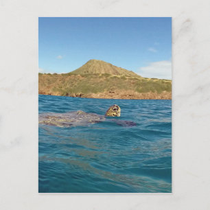 Hawaii-Schildkröte Postkarte