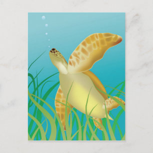 Hawaii-Schildkröte Postkarte