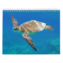 Hawaii-Schildkröten Kalender