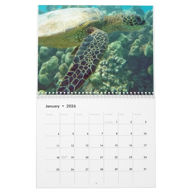 Hawaii-Schildkröten Kalender (Jan 2026)