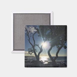 Hawaii Sonnenbeschienene Bäume Ozean Strand Farbph Magnet