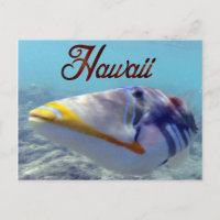 Hawaii Staat Fish - Humuhumunukunukuapua'a