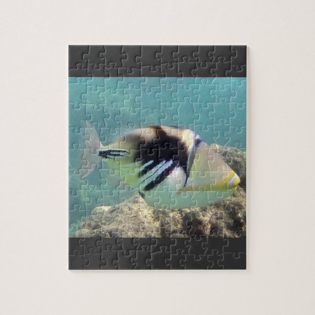 Hawaii-Staats-Fische - Humuhumunukunukuapua'a (Vertikal)