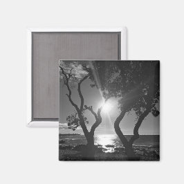 Hawaii Sunlit Trees Ocean Shore Schwarz und Weiß Magnet