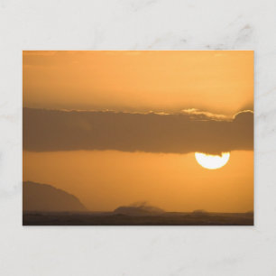 Hawaii Sunset Postkarte